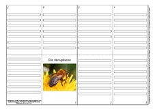 Faltbuch-Honigbiene-1.pdf